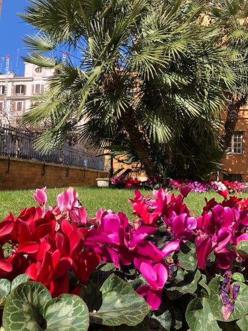San Pietro Apartamento